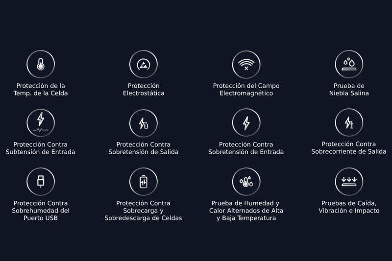 12 tipos de protección de seguridad